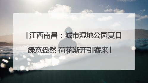 江西南昌：城市湿地公园夏日绿意盎然 荷花渐开引客来