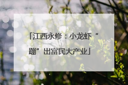 江西永修：小龙虾“蹦”出富民大产业