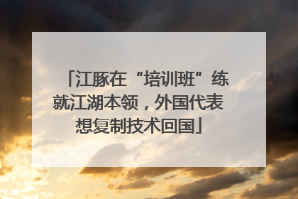 江豚在“培训班”练就江湖本领，外国代表想复制技术回国