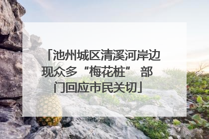 池州城区清溪河岸边现众多“梅花桩” 部门回应市民关切