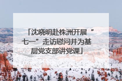 沈晓明赴株洲开展“七一”走访慰问并为基层党支部讲党课