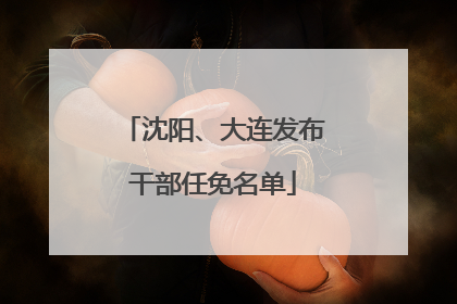 沈阳、大连发布干部任免名单