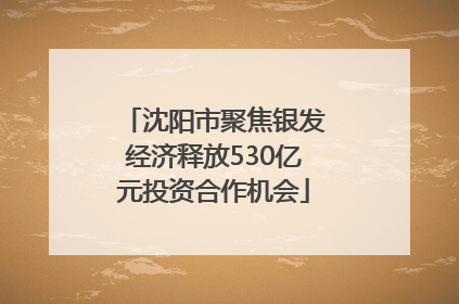 沈阳市聚焦银发经济释放530亿元投资合作机会