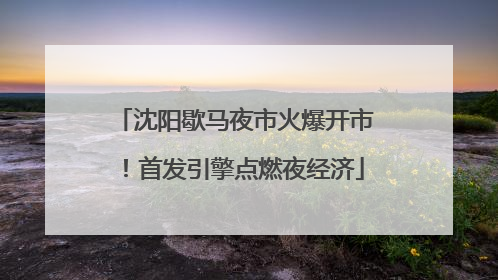 沈阳歇马夜市火爆开市！首发引擎点燃夜经济