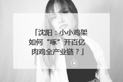 沈阳：小小鸡架如何“啄”开百亿肉鸡全产业链？