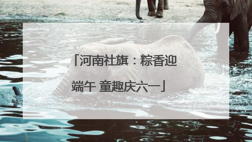 河南社旗：粽香迎端午 童趣庆六一