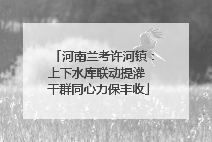 河南兰考许河镇：上下水库联动提灌 干群同心力保丰收
