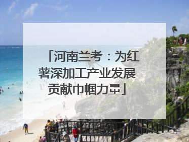 河南兰考：为红薯深加工产业发展贡献巾帼力量