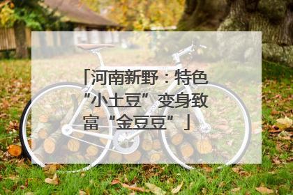 河南新野：特色“小土豆”变身致富“金豆豆”