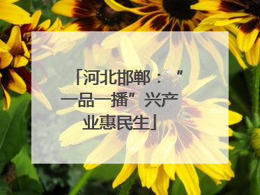 河北邯郸：“一品一播”兴产业惠民生