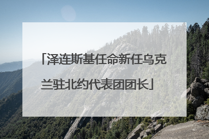 泽连斯基任命新任乌克兰驻北约代表团团长