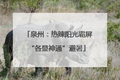 泉州：热辣阳光霸屏 “各显神通”避暑