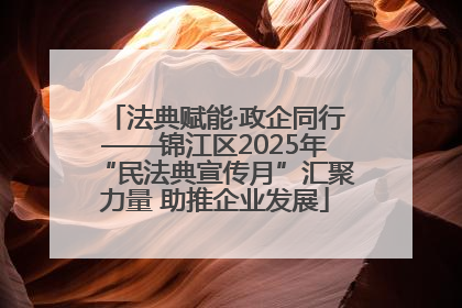 法典赋能·政企同行——锦江区2025年“民法典宣传月”汇聚力量 助推企业发展