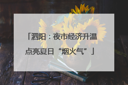 泗阳：夜市经济升温 点亮夏日“烟火气”