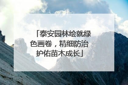 泰安园林绘就绿色画卷，精细防治护佑苗木成长