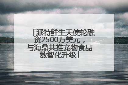 派特鲜生天使轮融资2500万美元，与海鼎共推宠物食品数智化升级