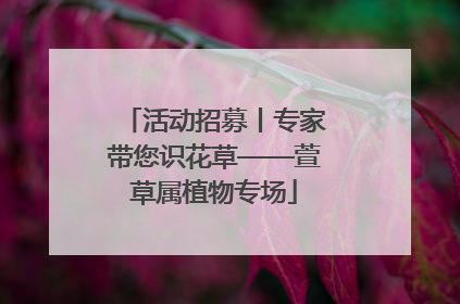 活动招募丨专家带您识花草——萱草属植物专场