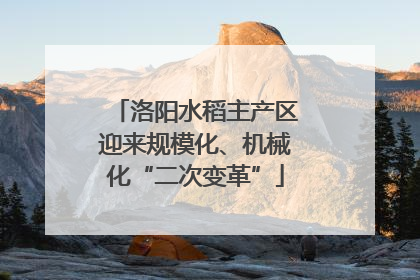 洛阳水稻主产区迎来规模化、机械化“二次变革”