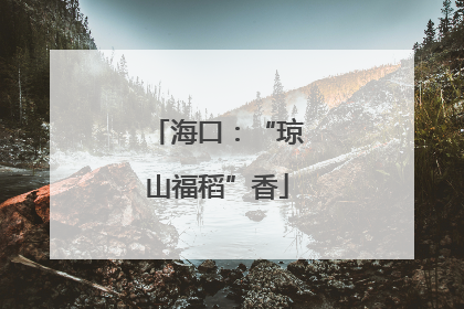 海口：“琼山福稻”香