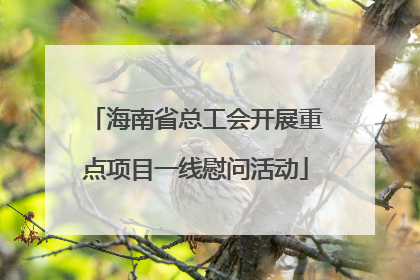 海南省总工会开展重点项目一线慰问活动