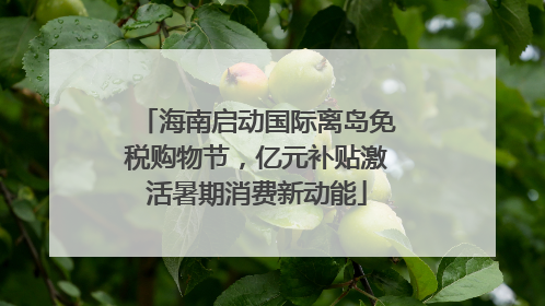 海南启动国际离岛免税购物节，亿元补贴激活暑期消费新动能