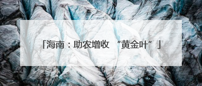 海南：助农增收 “黄金叶”