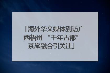 海外华文媒体到访广西梧州 “千年古郡”茶旅融合引关注