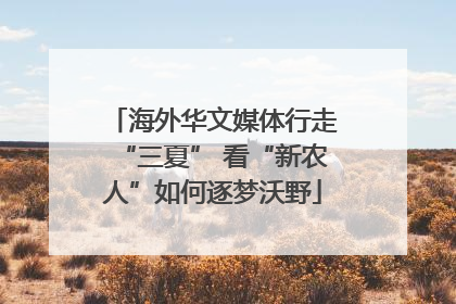 海外华文媒体行走“三夏” 看“新农人”如何逐梦沃野
