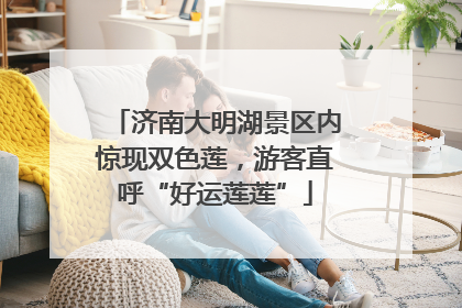 济南大明湖景区内惊现双色莲，游客直呼“好运莲莲”