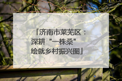 济南市莱芜区：深耕“一株桑” 绘就乡村振兴图