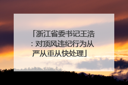 浙江省委书记王浩：对顶风违纪行为从严从重从快处理