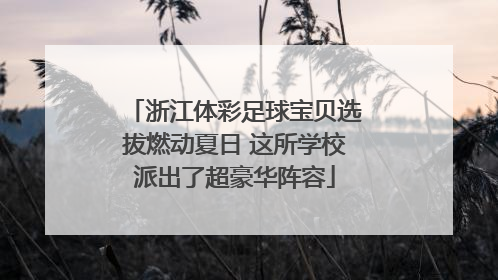 浙江体彩足球宝贝选拔燃动夏日 这所学校派出了超豪华阵容
