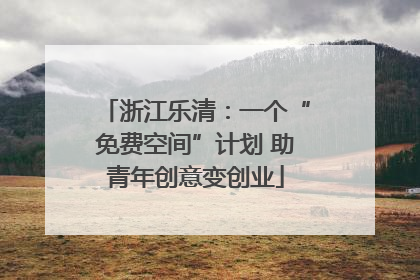 浙江乐清：一个“免费空间”计划 助青年创意变创业