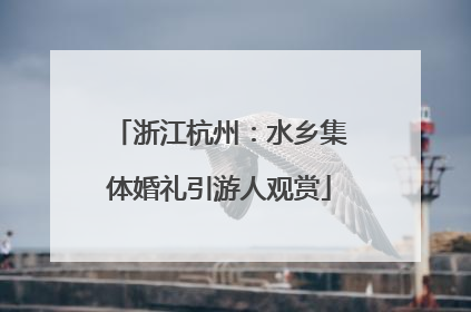 浙江杭州：水乡集体婚礼引游人观赏