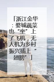 浙江金华：婺城蔬菜也“坐”上了飞机，无人机为乡村振兴插上“翅膀”
