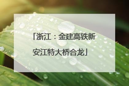 浙江：金建高铁新安江特大桥合龙