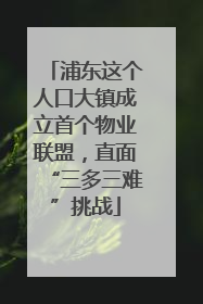 浦东这个人口大镇成立首个物业联盟，直面“三多三难”挑战