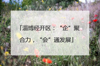 淄博经开区：“企”聚合力，“会”通发展