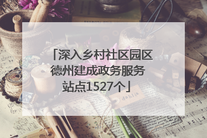 深入乡村社区园区 德州建成政务服务站点1527个