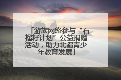 游族网络参与“石榴籽计划”公益捐赠活动，助力北疆青少年教育发展