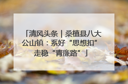 清风头条｜桑植县八大公山镇：系好“思想扣” 走稳“青廉路”