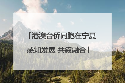 港澳台侨同胞在宁夏感知发展 共叙融合