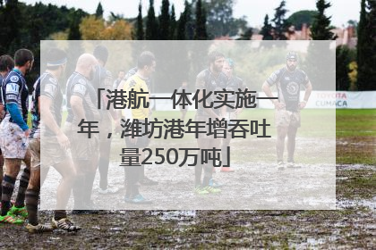 港航一体化实施一年，潍坊港年增吞吐量250万吨