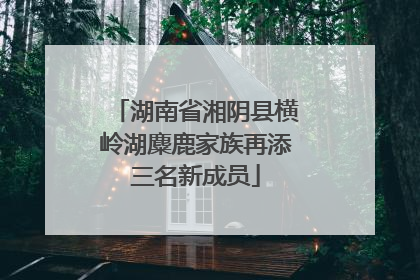 湖南省湘阴县横岭湖麋鹿家族再添三名新成员