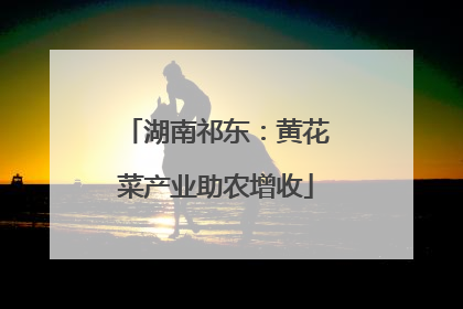 湖南祁东：黄花菜产业助农增收