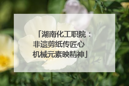 湖南化工职院：非遗剪纸传匠心 机械元素映精神