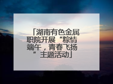 湖南有色金属职院开展“粽情端午，青春飞扬”主题活动
