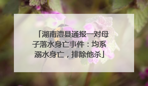 湖南澧县通报一对母子落水身亡事件：均系溺水身亡，排除他杀