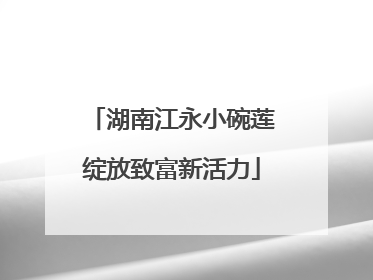 湖南江永小碗莲绽放致富新活力