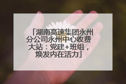 湖南高速集团永州分公司永州中心收费大站：党建+班组，焕发内在活力